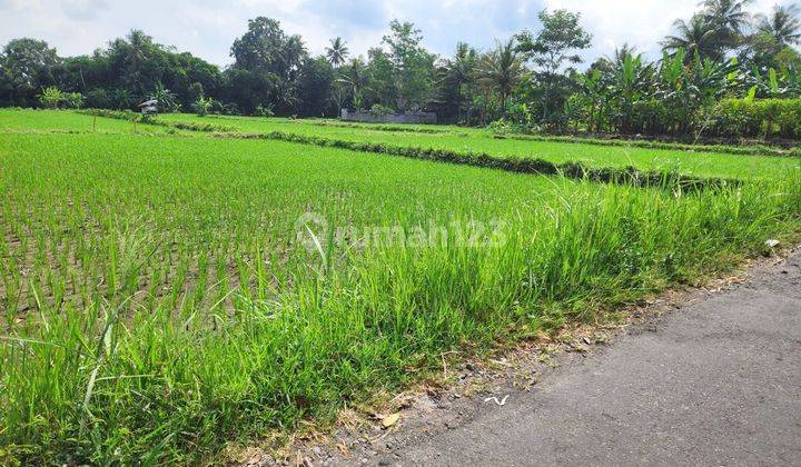 Tanah Peruntukan Kost UII, SHM Pekarangan  2