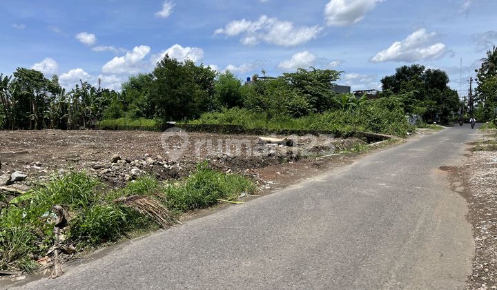 500 Meter ke Stadiun Maguwoharjo: Tanah SHM Jogja 500 Meter ke Stadiun Maguwoharjo: Tanah SHM Jogja