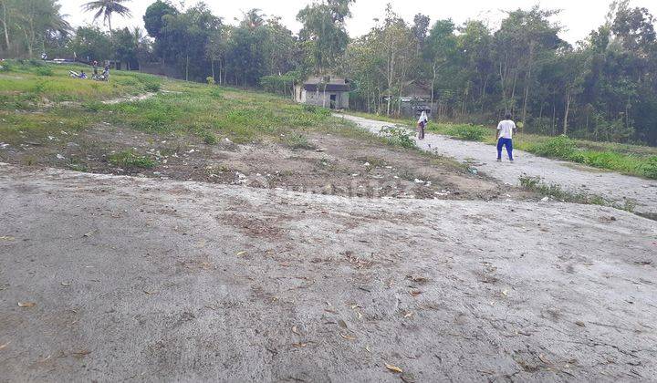 Murah Tanah di Gamping Balecatur Sleman, Dekat Pasar Gamping  1