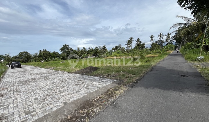 Jual Tanah Sleman Ring 1 Kampus Uii ; Siap AJB