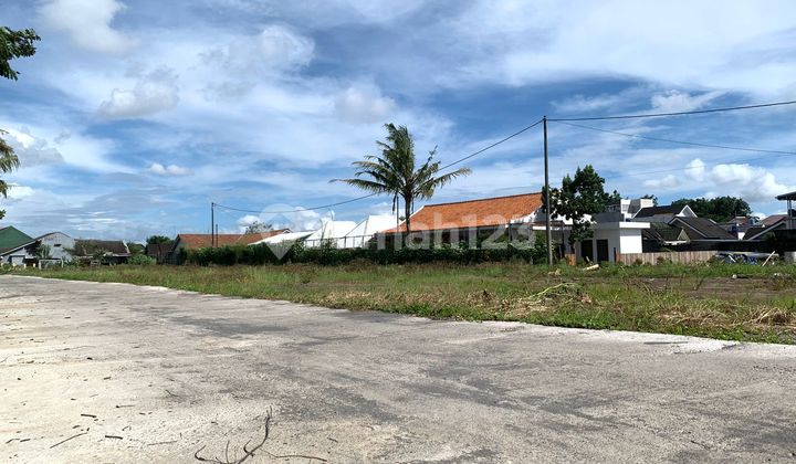 Tanah Maguwoharjo, Tepi Jl. Utama, SHM Pekarangan