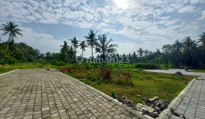 Tanah Dekat Bandara Yia di Tawangsari Pengasih 2