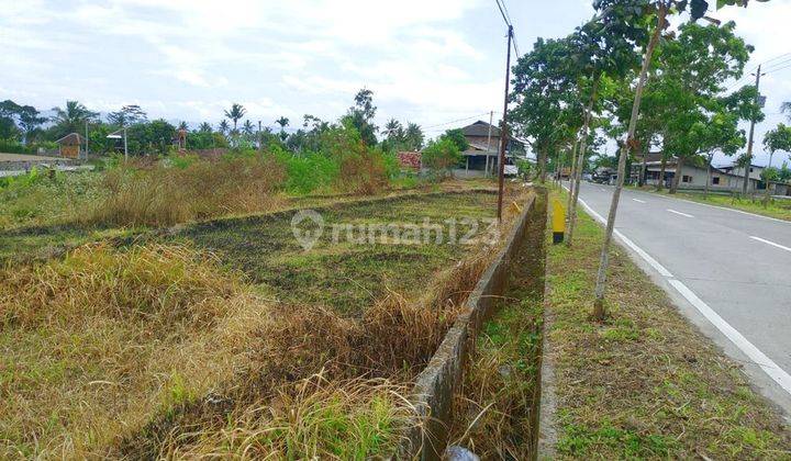 Tanah Dijual Murah Magelang, Dekat Sevilla Hotel 2