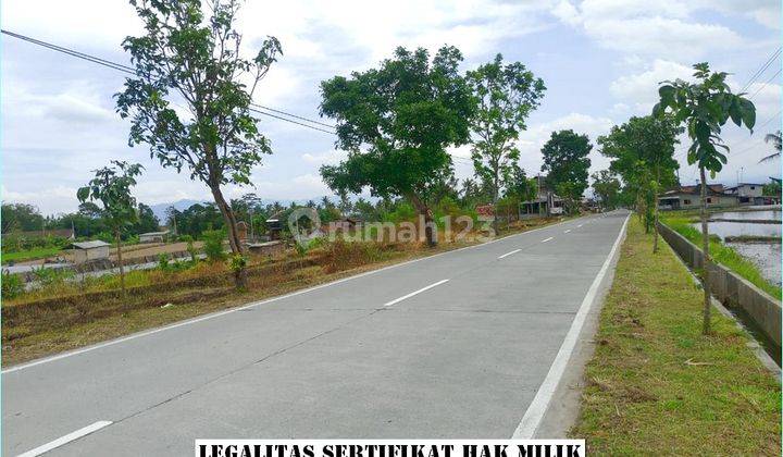 Tanah Mungkid Magelang, Dekat Sevilla Hotel  1