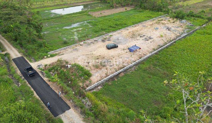 Dalam Ringroad Jogja, Tanah Dijual Dekat Kampus Uty 2