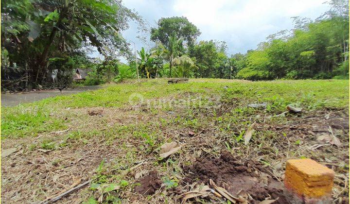 Dekat Sma Taruna Magelang, Tanah Dijual 1 Jutaan di Tempuran