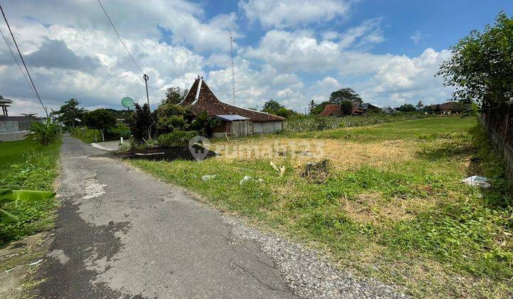 Area Jl. Damai Jogja, Jual Tanah View Sawah Cocok Villa 1