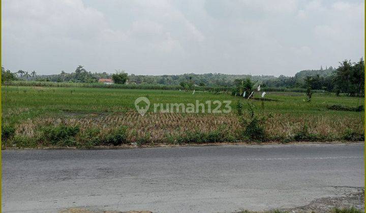 Tanah Murah Bantul Di Selatan Kampus Alma Ata Yogyakarta 3