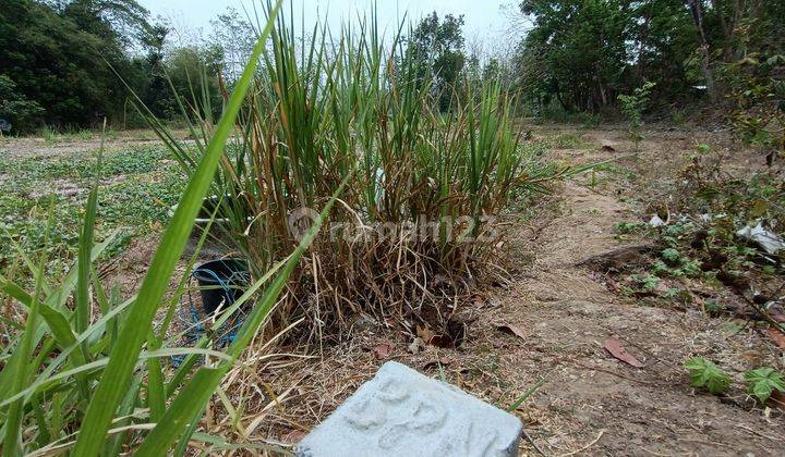 Dijual Tanah Jogja Dekat Puncak Sosok Bawuran Pleret Bantul 2