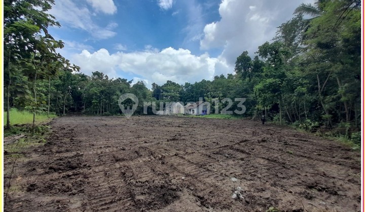 200 Million, Near Padma Residence Kasihan Bantul