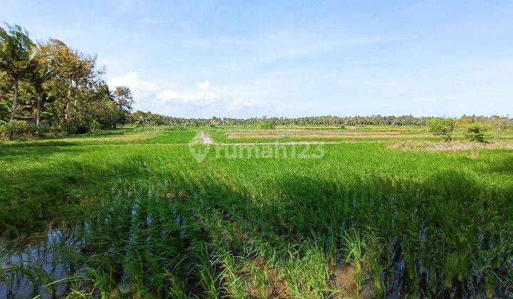 2 Menit Kampus Uad 6, Kavling SHM Dekat Bandara Kulonprogo Jogja 2