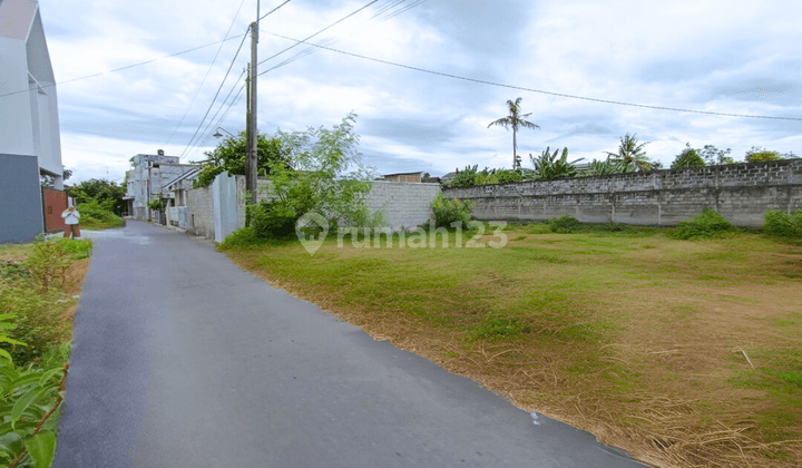 Dekat Ugm, Kapling Dalam Ringroad Jogja Cocok Hunian Dan Kost 2