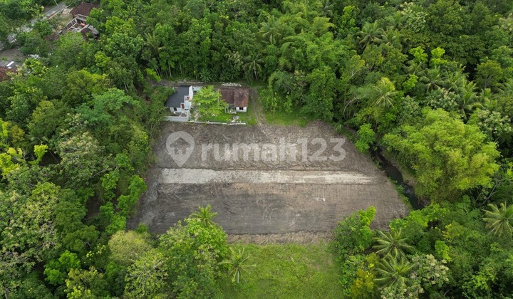 8 Minutes to UMY Campus, 400 Million Rupiah House in Jogja