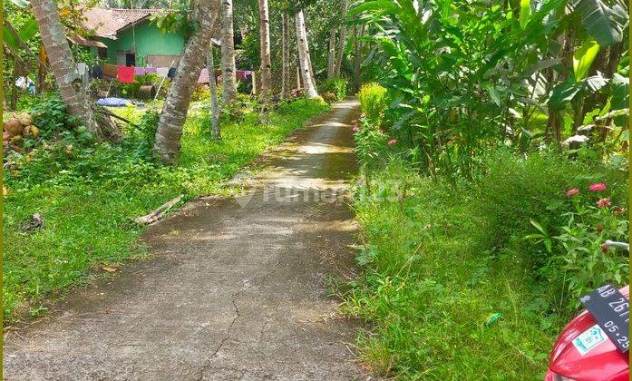 Tanah Kulonprogo 500 Meter Ke Jalan Nasional Jogja Purworejo 1