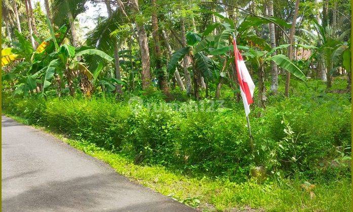 Tanah Kulonprogo 500 Meter Ke Jalan Nasional Jogja Purworejo 2