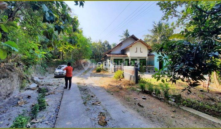 Tanah Murah Jogja 80 Jutaan Utara Terminal Sentolo Kulonprogo 2