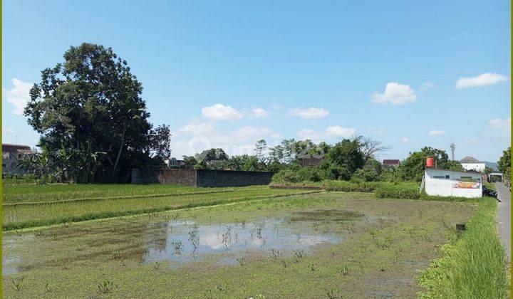 Dekat Kampus Ukrim Kalasan Jual Tanah Murah Yogyakarta 5