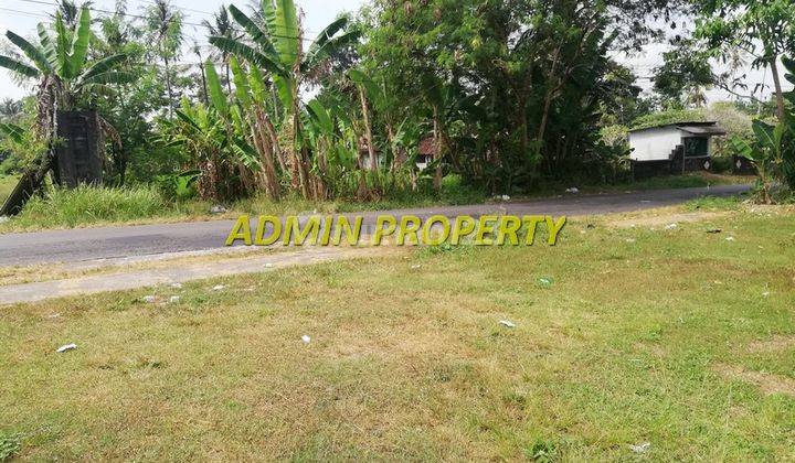 Tanah Dijual Sleman, Area Wedomartani Tepi Jalan Pas Untuk Usaha 2