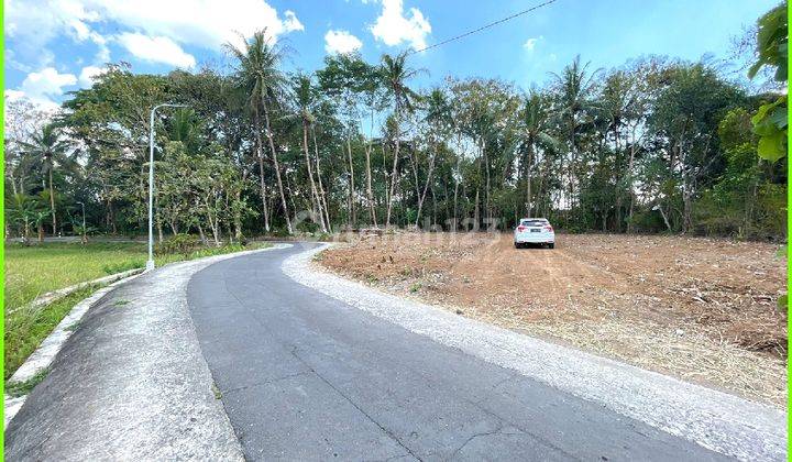 Tanah Asri Dijual View Sawah di Moyudan Jl Godean 2