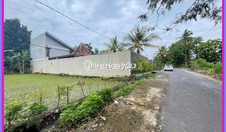 Jual Tanah Murah SHM Sawah 50 M Jl Besi Jangkang 1