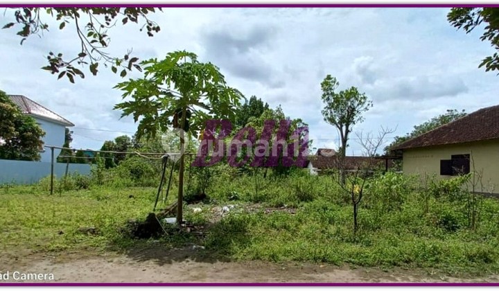 Tanah Murah di Margoluwih Seyegan, Posisi Hook, Siap Ajb 2