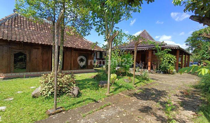 Rumah Dijual di Sleman Joglo Bonus Sawah 649m 1