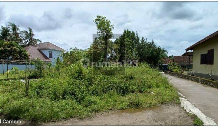 Dijual Tanah Pekarangan Murah di Utara Jl Godean Km 8 Sleman 2