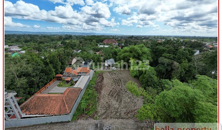 Tanah Dijual di Sleman 8 Menit Kampus Upn Tanah Maguwoharjo Jogja