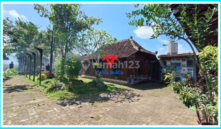 Jual Rumah Etnik Joglo di Godean, Rumah Bonus Sawah 1