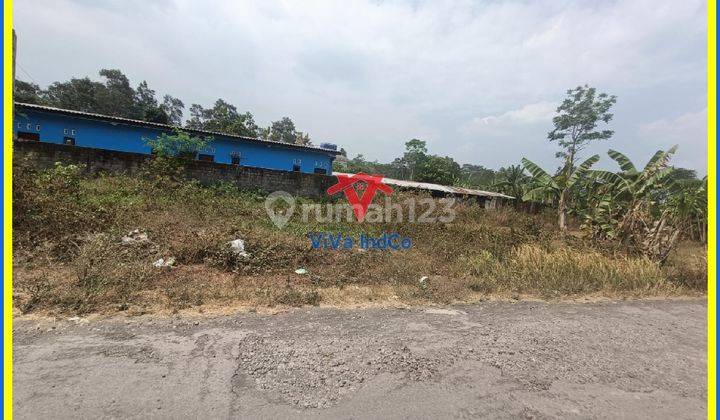 Tanah Murah Tajem Jogja Lahan Siap Bangun Kos 2