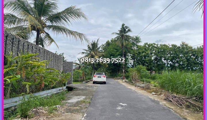 Jual Tanah Murah SHM Sawah 50 M Jl Besi Jangkang 2