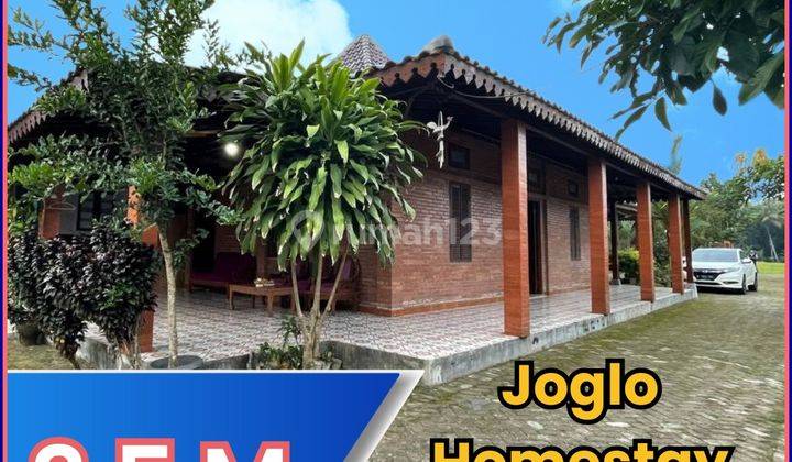 Dijual Joglo Dan Villa di Godean Sleman, Bonus Sawah  1