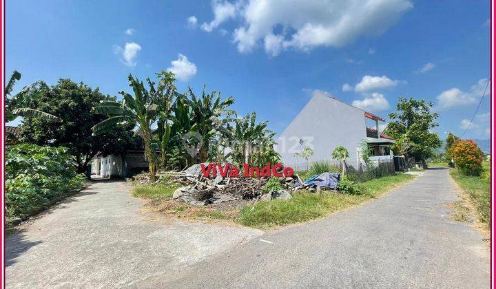 Jual Tanah Berbah View Sawah Cuma 200 Jtan 1