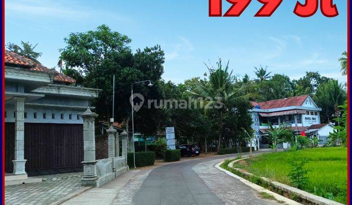 Tanah Murah Jogja Mulai 190an Juta di Godean 1