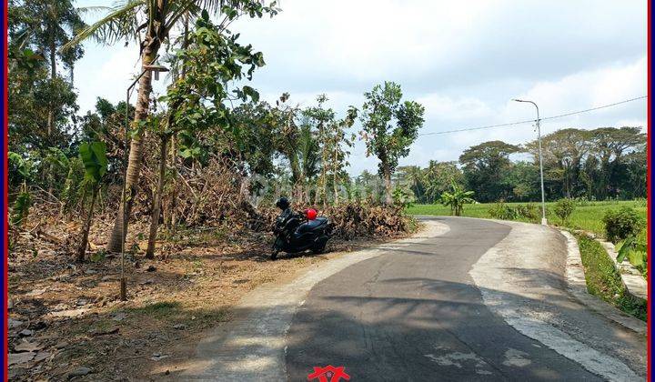 Tanah Murah Jogja Mulai 190an Juta di Godean 2