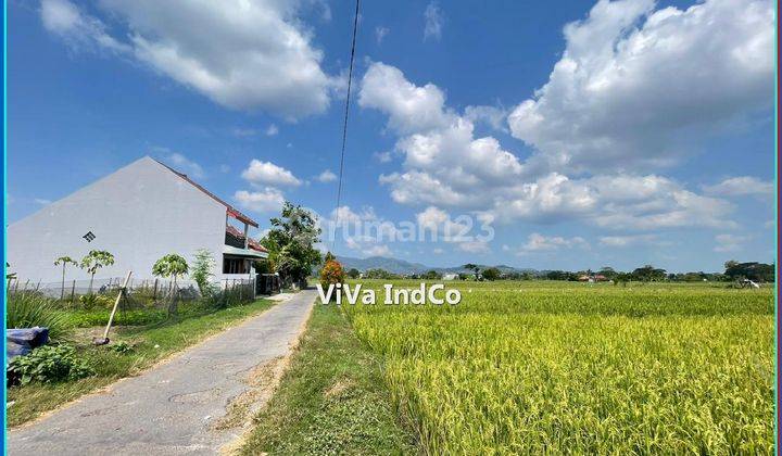 Tanah Jogja Dijual 200an Juta Siap Akad Dan Balik Nama 2