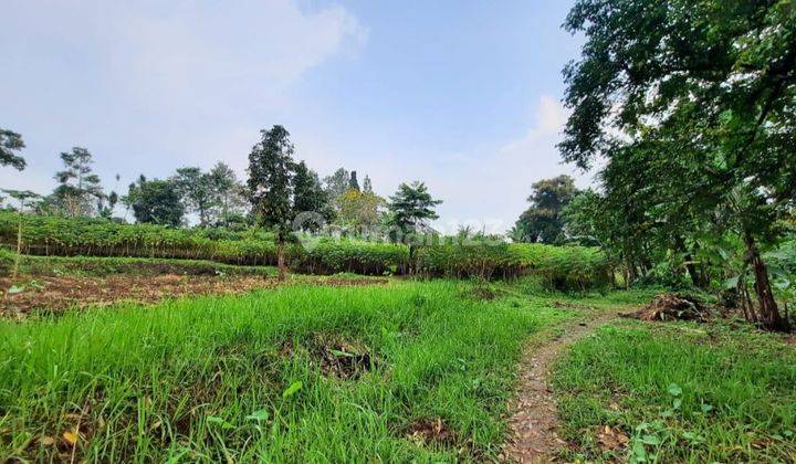 Lahan Tanah 1 Hektar  Gunung Geulis Puncak Bogor 1