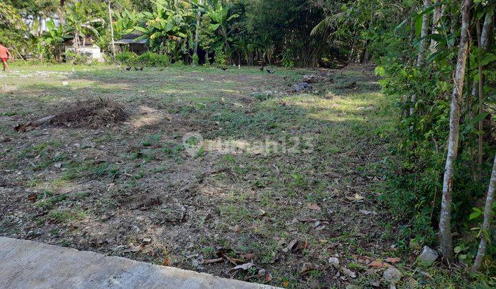 Kavling Strategis di Wates,kulon Progo Dekat Bandara Yia 3