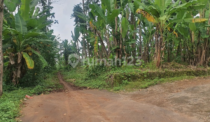 SHM Dan Ajb Ada. Tanah Dijual di Beringin Ngaliyan 2