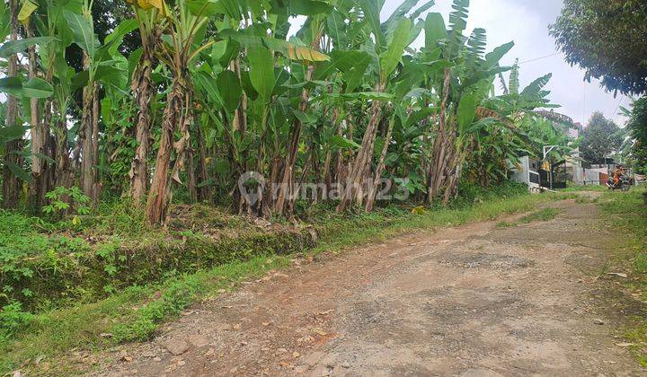 SHM Dan Ajb Ada. Tanah Dijual di Beringin Ngaliyan 4