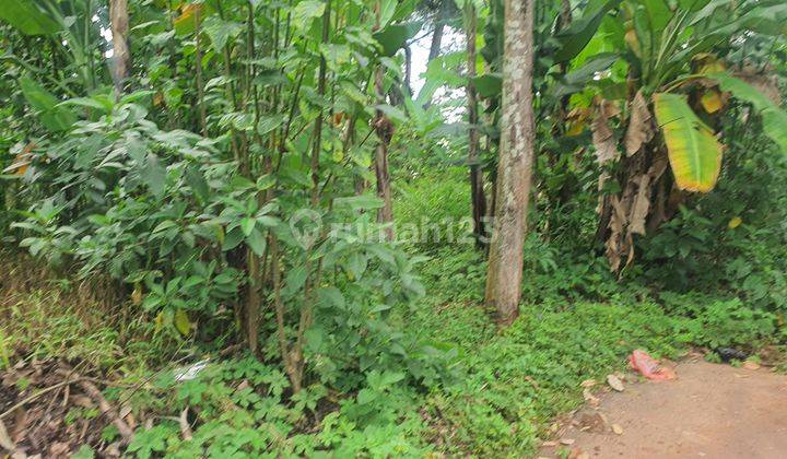 SHM Dan Ajb Ada. Tanah Dijual di Beringin Ngaliyan 6