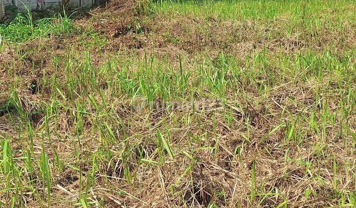 Dijual Kavling Bima Fajar Grand Wisata Bekasi 2