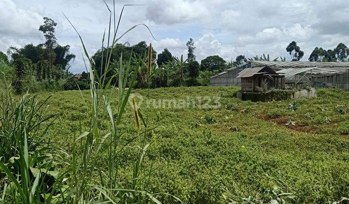 Dijual Cepat Tanah di Jalan Gandrung Cisarua Lembang 1