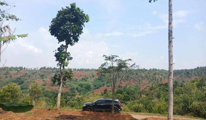 Tanah Produktif Pohon Durian 1ha Karyabakti Wado Kec. Sumedang 2