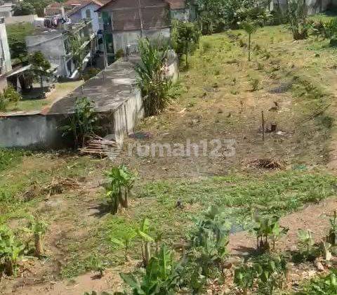 Dijual Tanah Hadap Timur di Jember Jawa Timur By Rumah Chinida 1