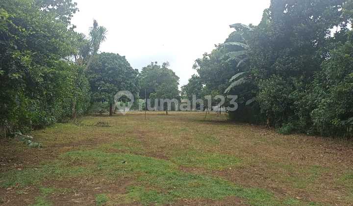 For Rent: Legok Land with SHM in Babat Tangerang By Rumah Chinida (Dw) For Rent: Legok Land with SHM in Babat Tangerang By Rumah Chinida (Dw)
