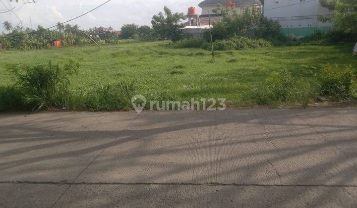 Dijual Kavling Tanah Sawah di Rajeg Kab Tangerang By Rumah Chinida 1