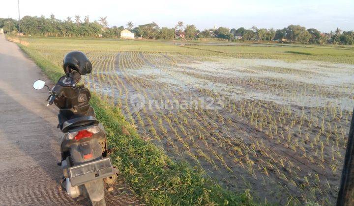 Dijual Cepat Tanah/Kavling Sawah di Rajeg Tangerang By Rumah Chinida 1