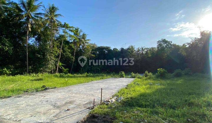 Tanah Spot Investasi di Wates 100 Jt An, Kulon Progo SHM 172 m² 1