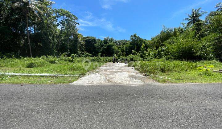 Dijual Tanah Jogja Barat, Ld 8 Meter, Tepi Jalan Kulonprogo 1